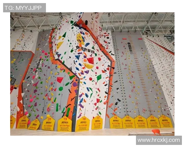 从零起步探索极限运动的全方位攻略与实用技巧分享