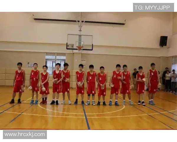 西安排球队的阵地战体系与排球战术的深度解析与应用探讨